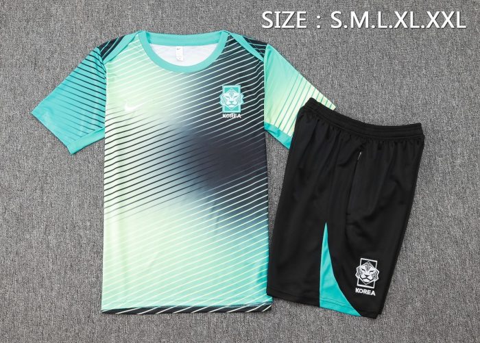 South Korea 24-25 Short Sleeve Training Shirt Blue - 图片 4