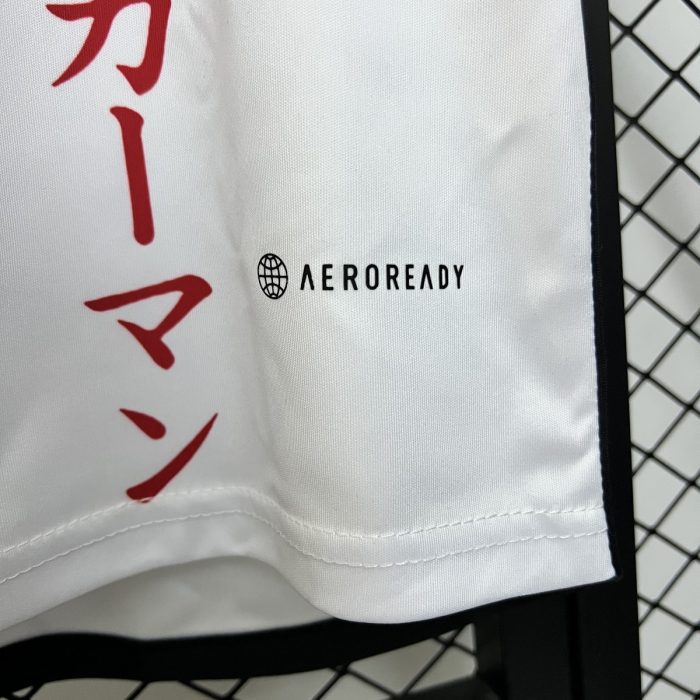2024 Japan Special Edition - 图片 8