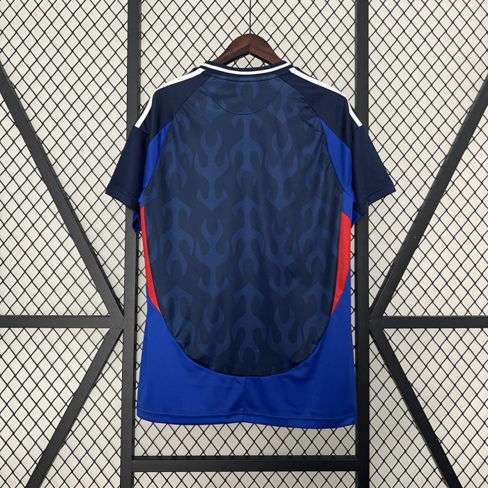 2024 Japan Special Edition - 图片 6