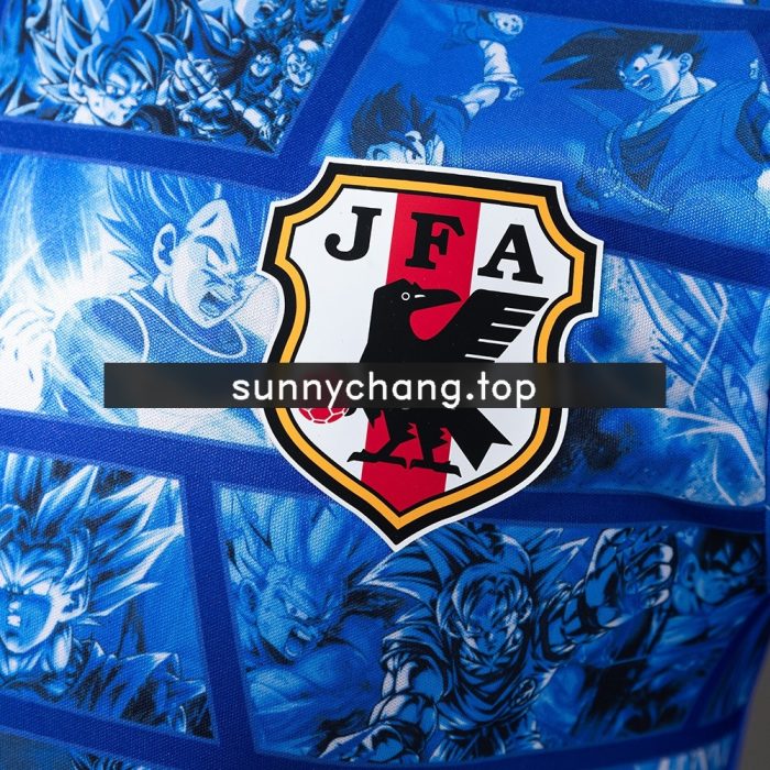 2024 Japan Special Edition - 图片 5