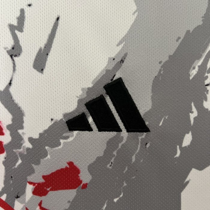 2024 Japan Special Edition - 图片 6