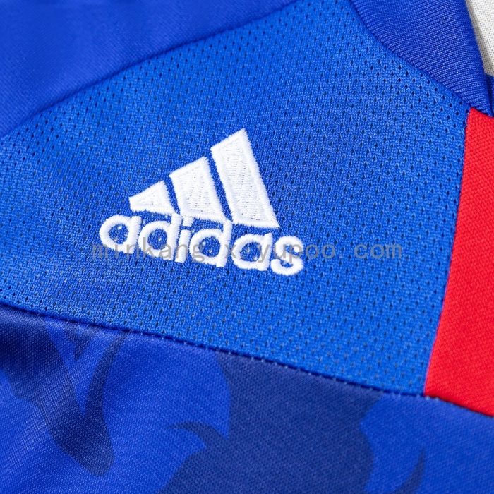 Japan 2010 Home Retro Jersey - 图片 5
