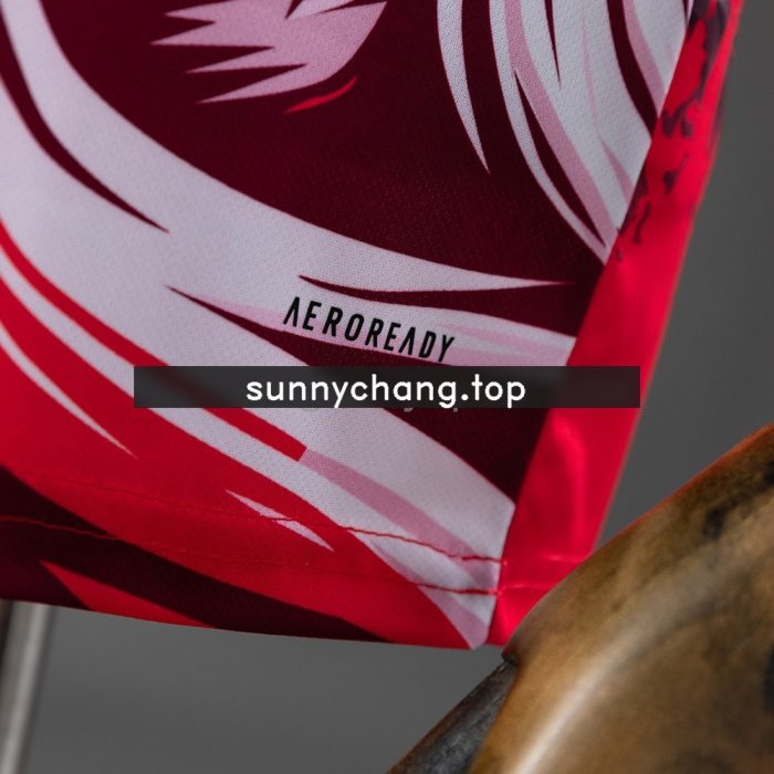 Japan 2025-2026 Concept Eagle Jersey - 图片 4