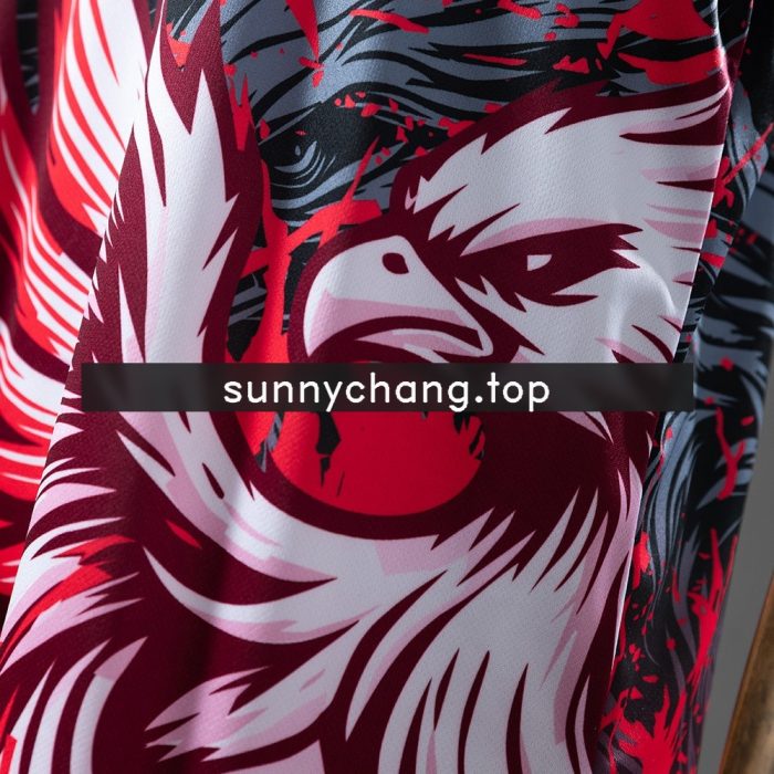 Japan 2025-2026 Concept Eagle Jersey - 图片 5