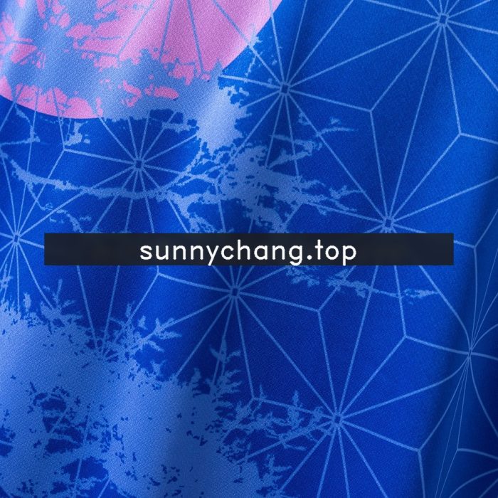 Japan 25/26 Concept Edition Blue Jersey - 图片 6