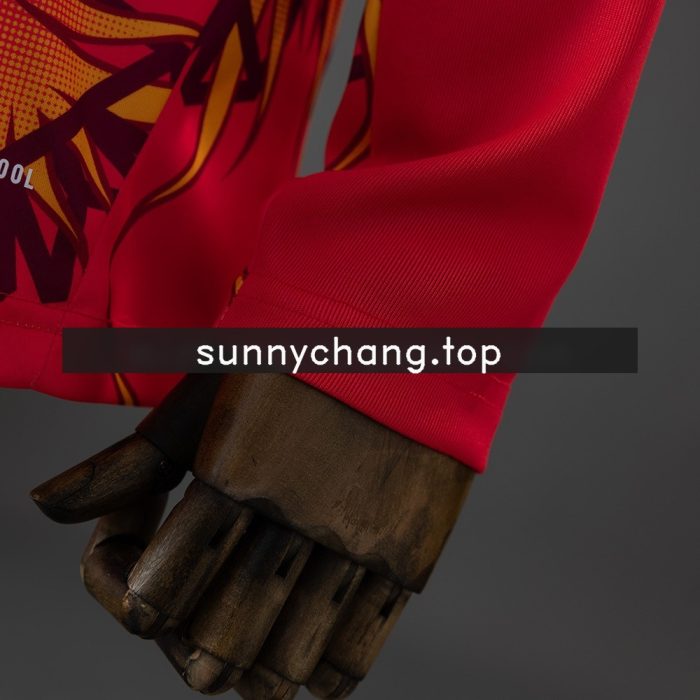Japan 2026 Goalkeeper Red Long-Sleeved Jersey - 图片 6