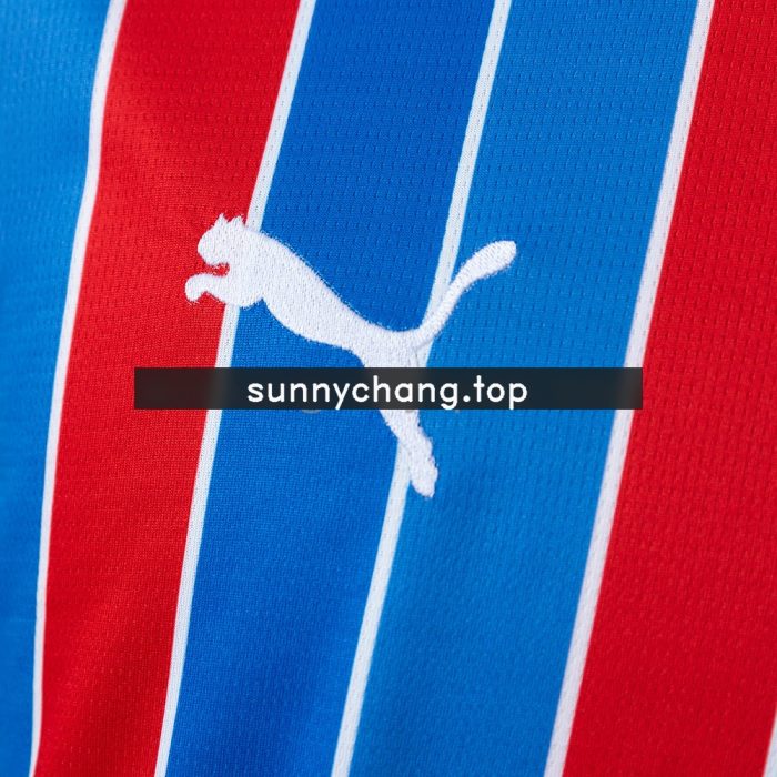 Bahia 26/27 Away Vest - 图片 4