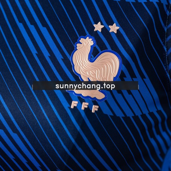 France 2026 Home Women's Crop Top Style Vest - 图片 5