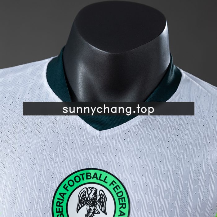 Nigeria 2026 Away Player Version Jersey - 图片 7