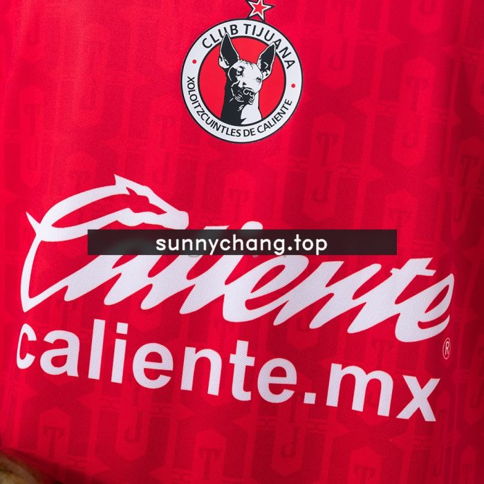 Tijuana 26/27 Home Jersey - 图片 7