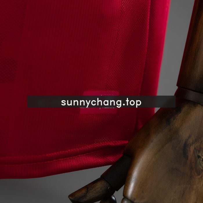 Denmark 2026 Home Jersey - 图片 3