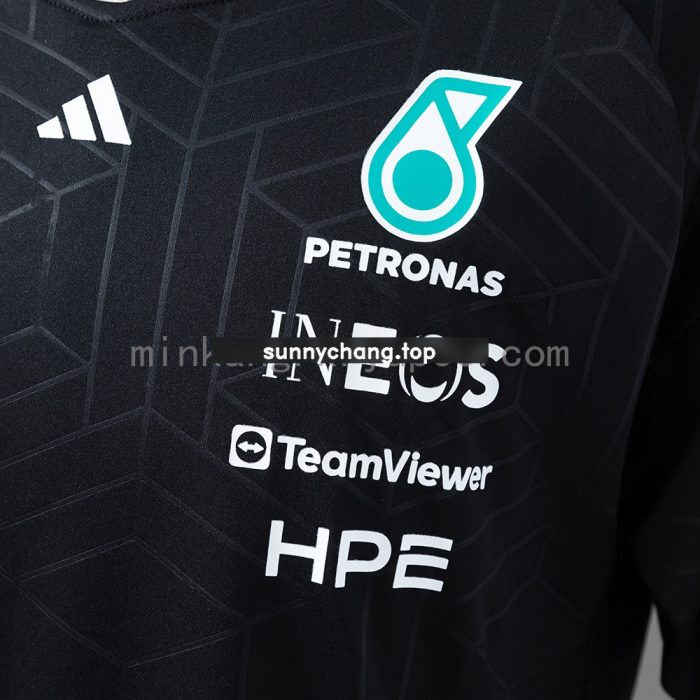 Mercedes-AMG PETRONAS F1 T-shirt - 图片 6