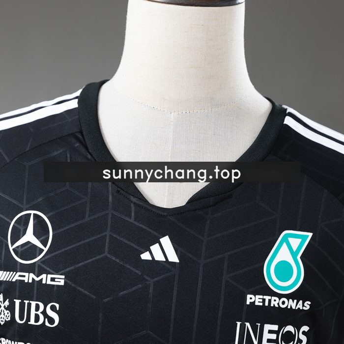 Mercedes-AMG PETRONAS F1 T-shirt - 图片 7