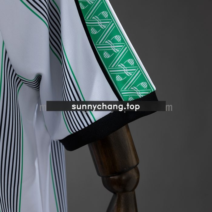 Borussia Monchengladbach 26/27 Special Edition Jersey - 图片 3