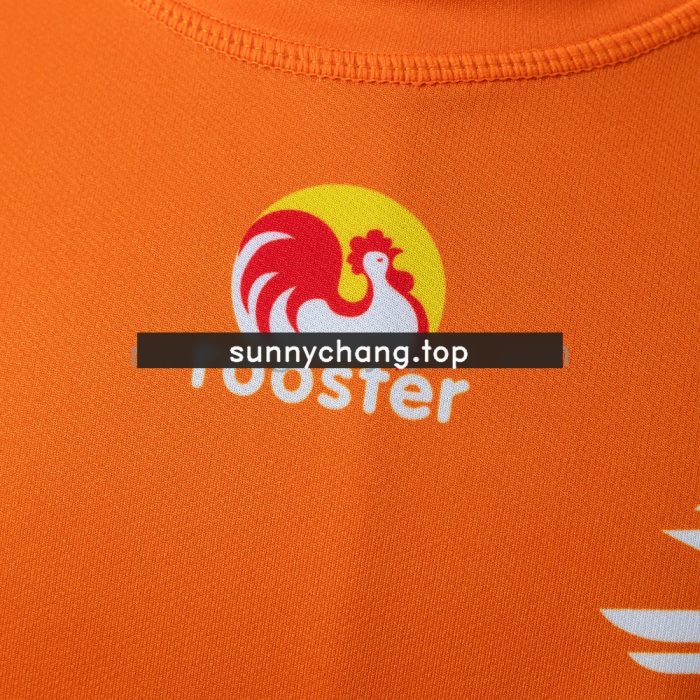 FIJIAN 2026 DRUA REVERSIBLE TRAINING JERSEY - 图片 7