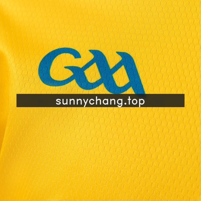 Donegal 2026 GAA Home Jersey - 图片 6
