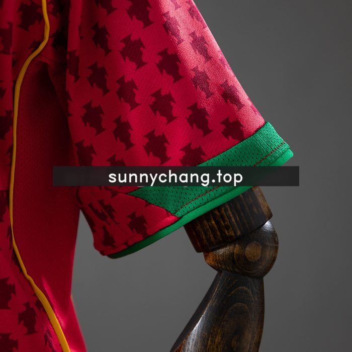 Portugal 2004 Home Retro Kids Kit Jersey - 图片 5