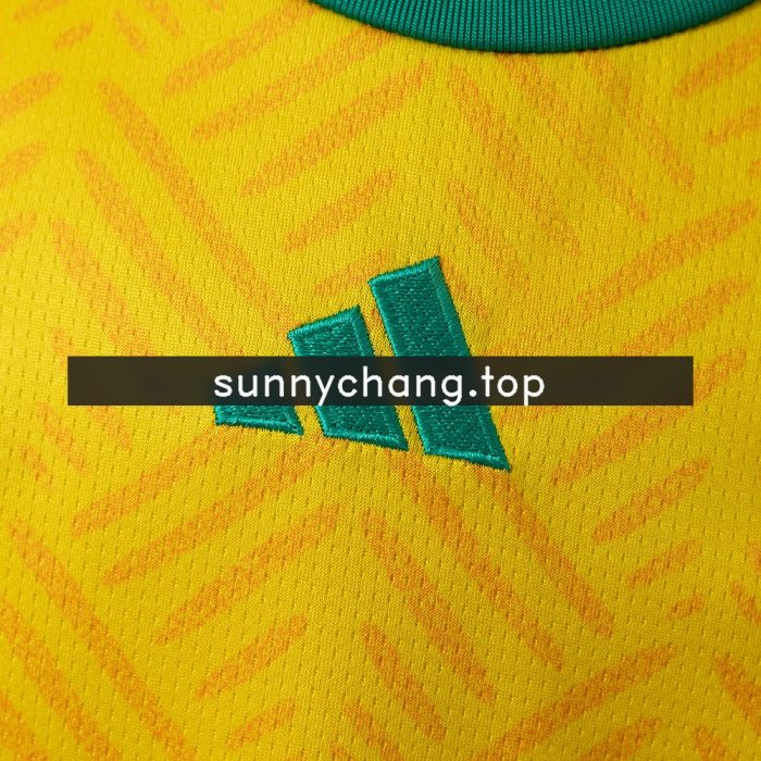 South Africa 2026 Home Kids Kit Jersey - 图片 8