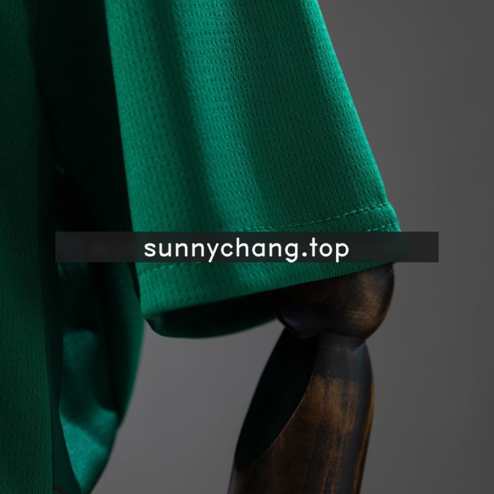 Palmeiras 26/27 Home Kids Kit Jersey - 图片 5