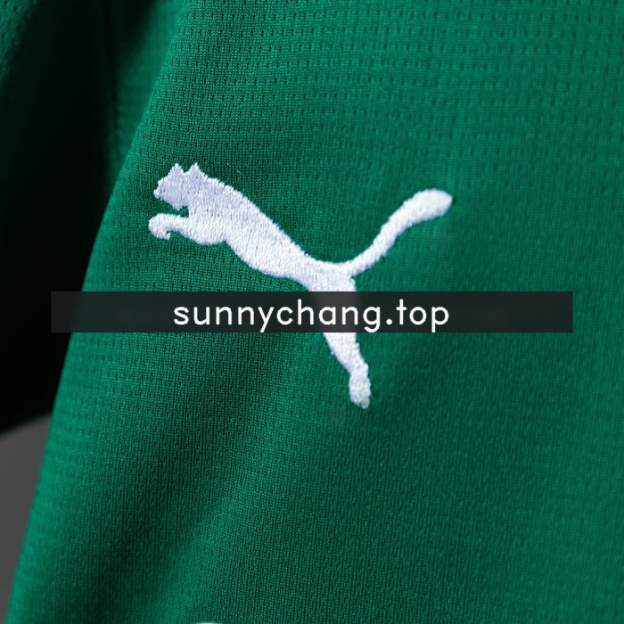 Palmeiras 26/27 Home Kids Kit Jersey - 图片 6