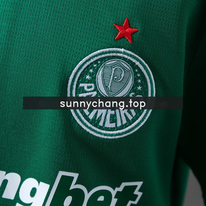 Palmeiras 26/27 Home Kids Kit Jersey - 图片 7