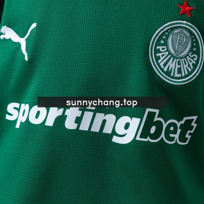 Palmeiras 26/27 Home Kids Kit Jersey - 图片 8