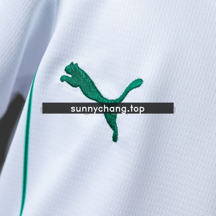 Palmeiras 26/27 Away Kids Kit - 图片 6