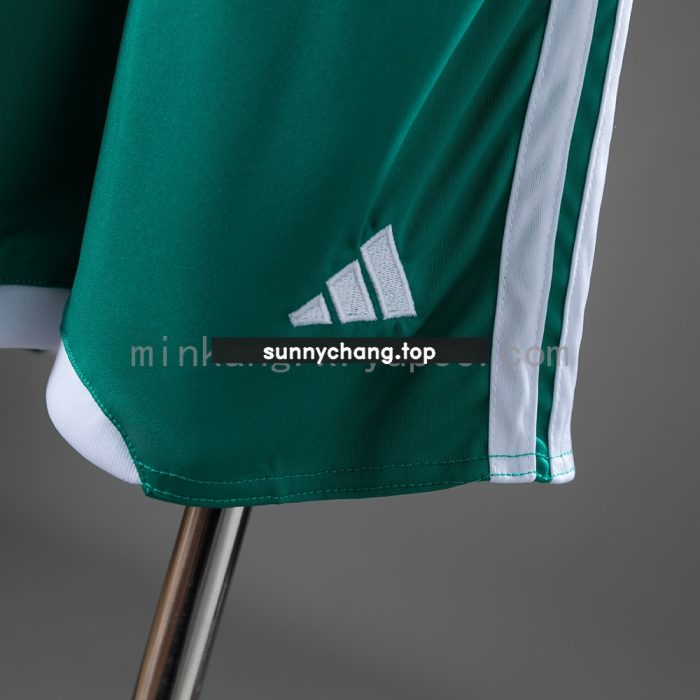 Northern Ireland 2026 Home Kids Kit Jersey - 图片 3