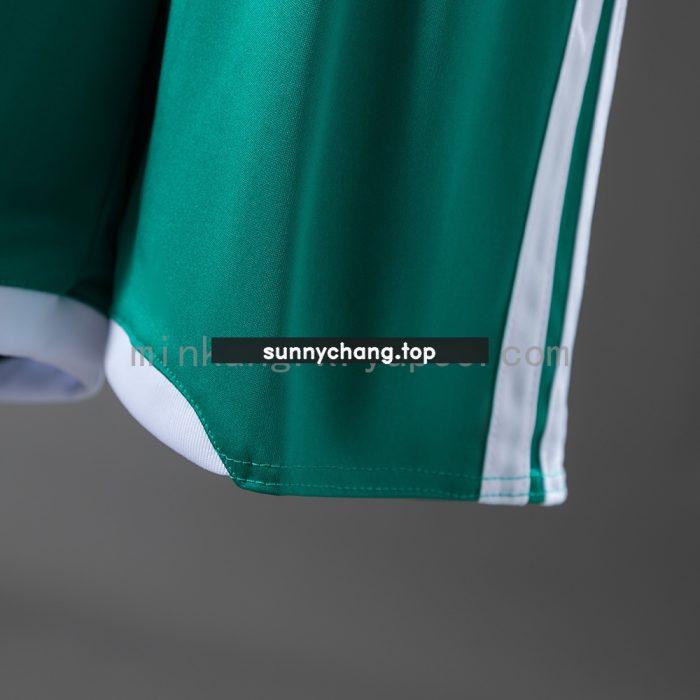 Northern Ireland 2026 Home Kids Kit Jersey - 图片 5