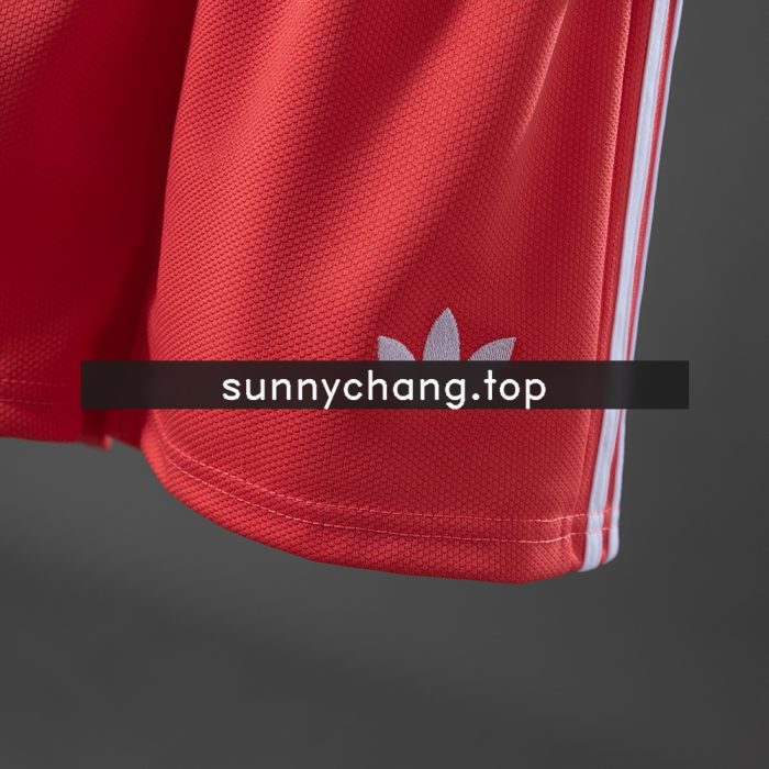 Scotland 2026 Away Kids Kit Jersey - 图片 3