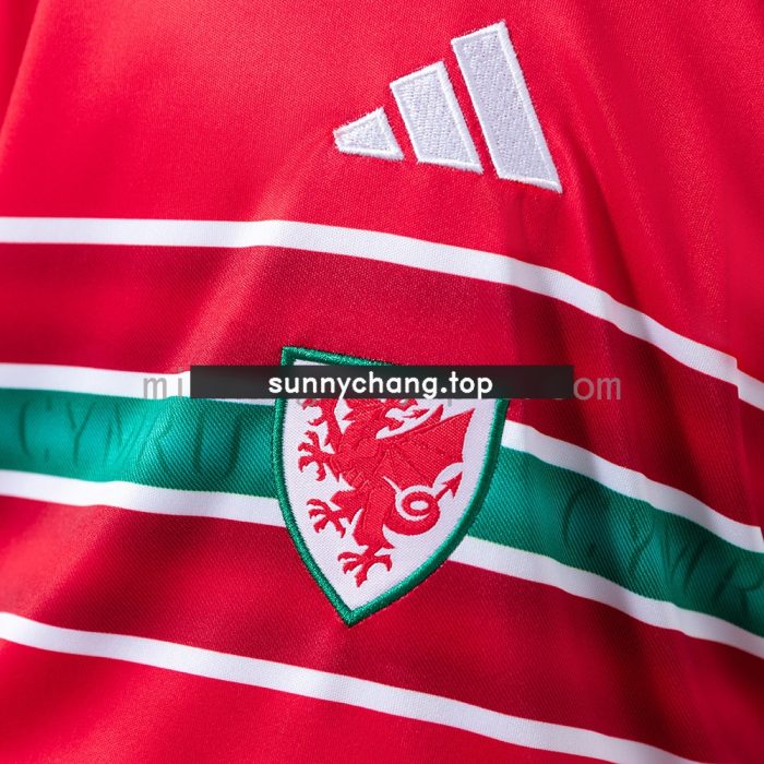 Wales 2026 Home Kids Kit Jersey - 图片 6
