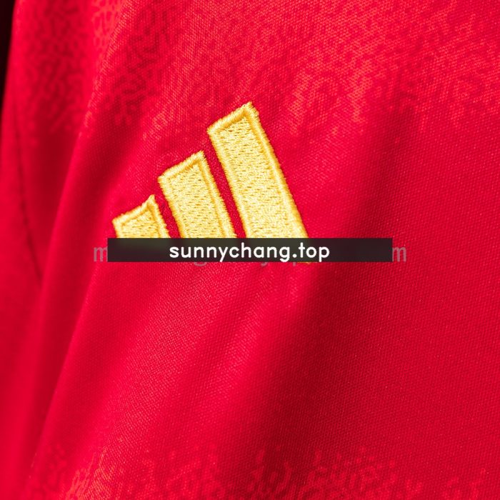 Spain 2024 Home Full Kids Kit Jersey - 图片 5