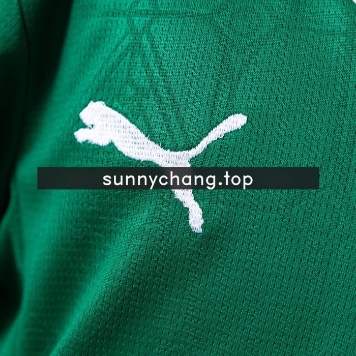 Palmeiras 25/26 Home Kids Kit Jersey - 图片 5