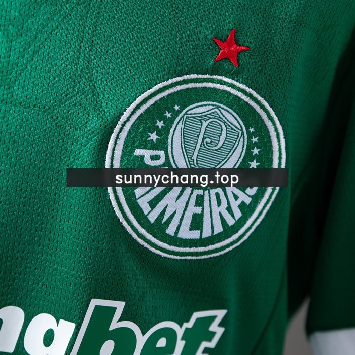 Palmeiras 25/26 Home Kids Kit Jersey - 图片 6