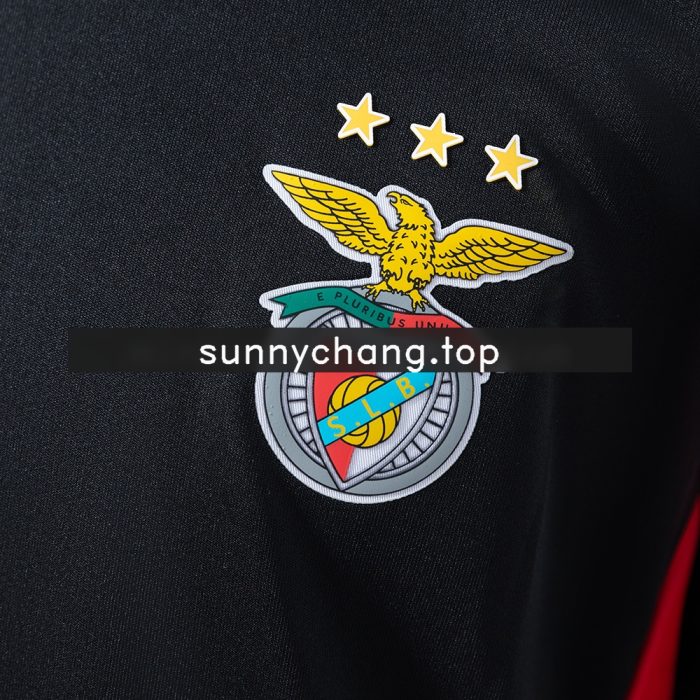 Benfica Kids Training Clothes - 图片 6