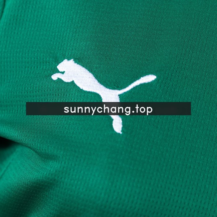 Palmeiras 26/27 Women's Home Jersey - 图片 4