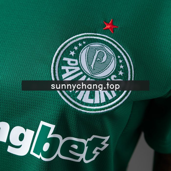 Palmeiras 26/27 Women's Home Jersey - 图片 5