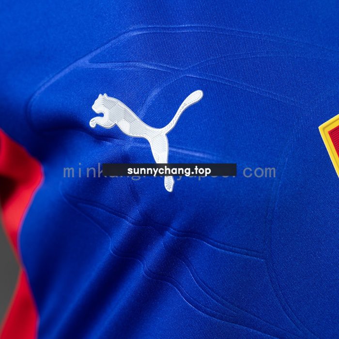 Bahia 25/26 Superman Edition - Blue & Red Women's Jersey S-XXL - 图片 4