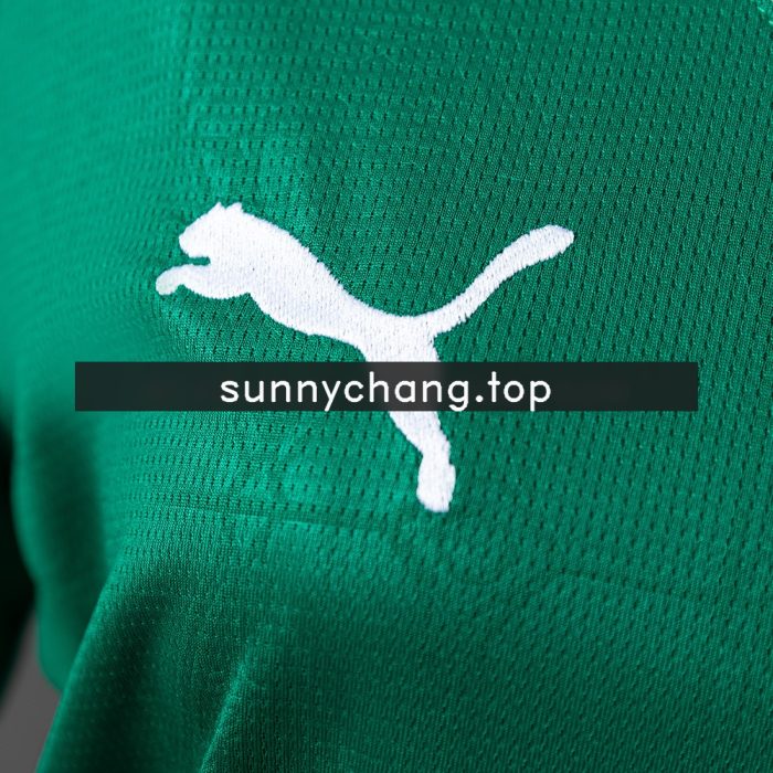 Palmeiras 25/26 Women Home Jersey - 图片 3