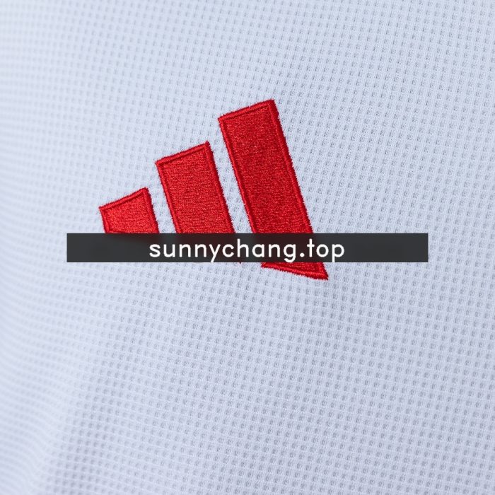 Internacional 26/27 Away Long-sleeved Jersey - 图片 6