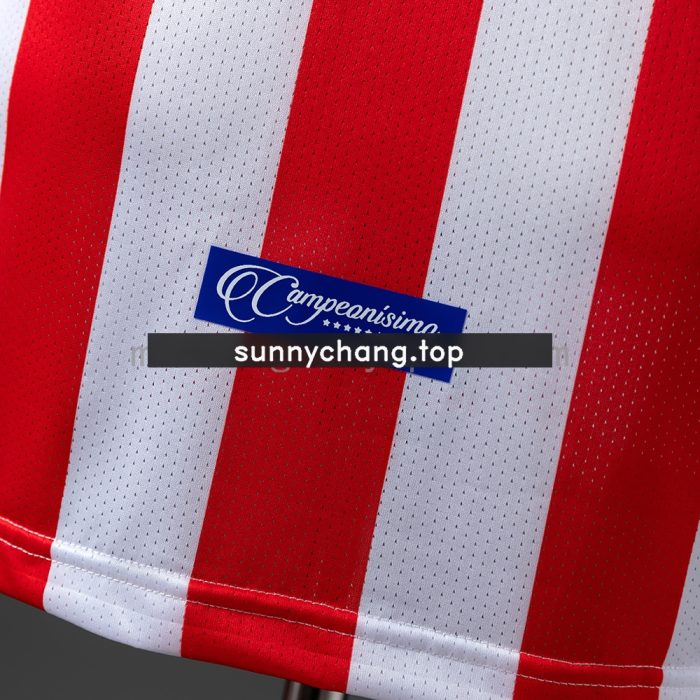 Chivas de Guadalajara 110th Anniversary Edition Long-Sleeved Retro Jersey - 图片 3