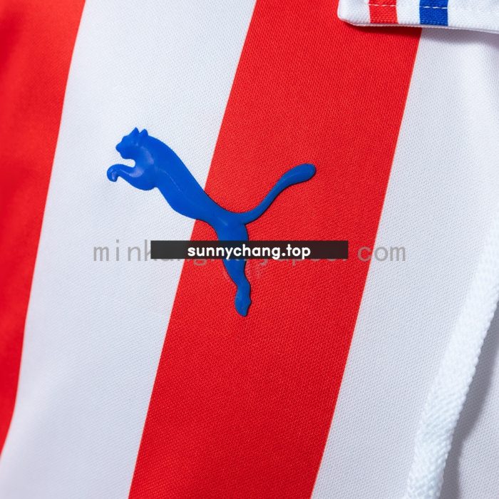 Chivas de Guadalajara 110th Anniversary Edition Long-Sleeved Retro Jersey - 图片 8