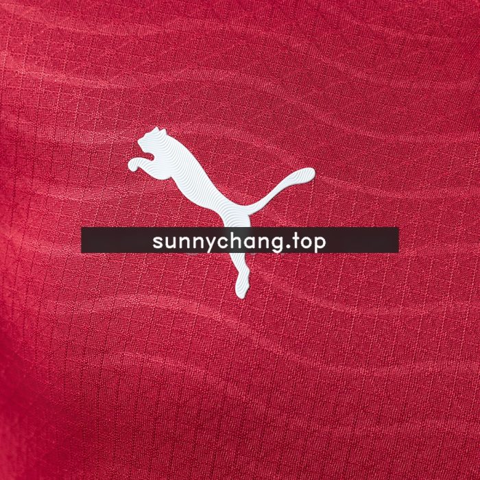 Portugal 2026 Home Player Version Long-Sleeve Jersey - 图片 7