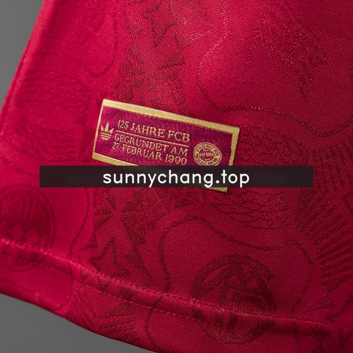 Bayern Munich 125th Anniversary Long-sleeved Player Version - 图片 4
