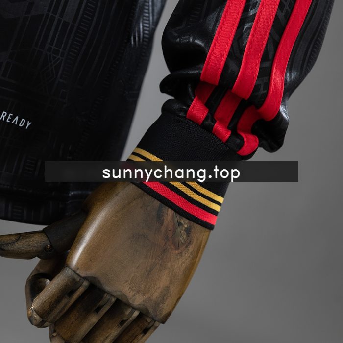 Arsenal 25/26 Special Edition Jersey - 图片 4