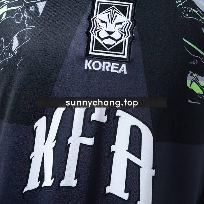 South Korea 26/27 Goalkeeper Jersey - 图片 7
