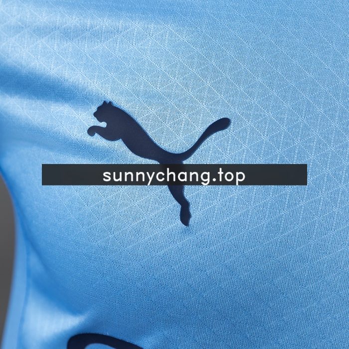 Manchester City 25/26 Home Long-Sleeve Player Version Jersey - 图片 7