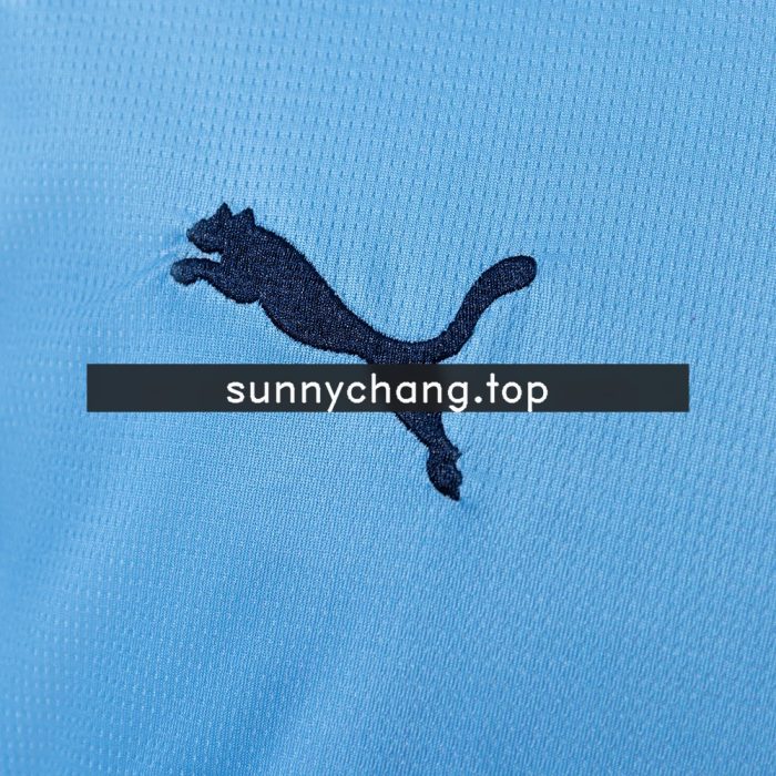 Manchester City 25/26 Home Long Sleeve Jersey - 图片 4