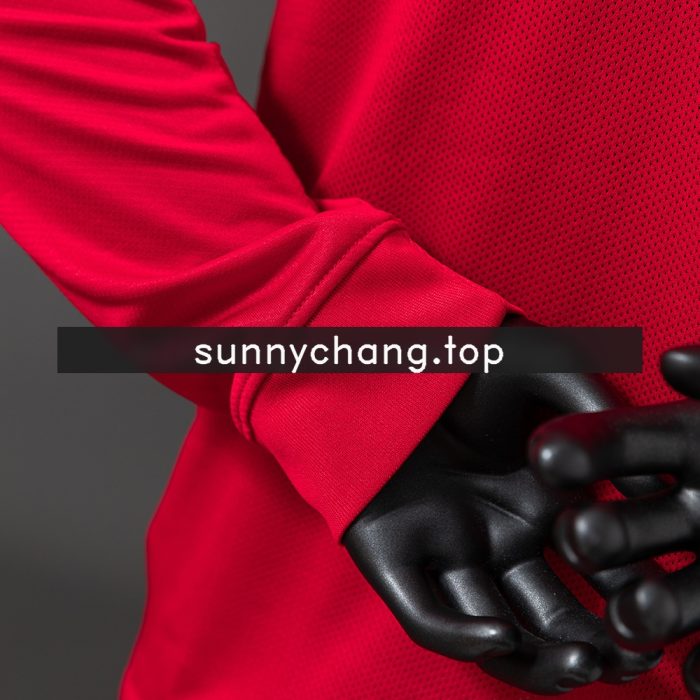 Portugal 2010 Player Version Retro Long Sleeve Home Jersey - 图片 2
