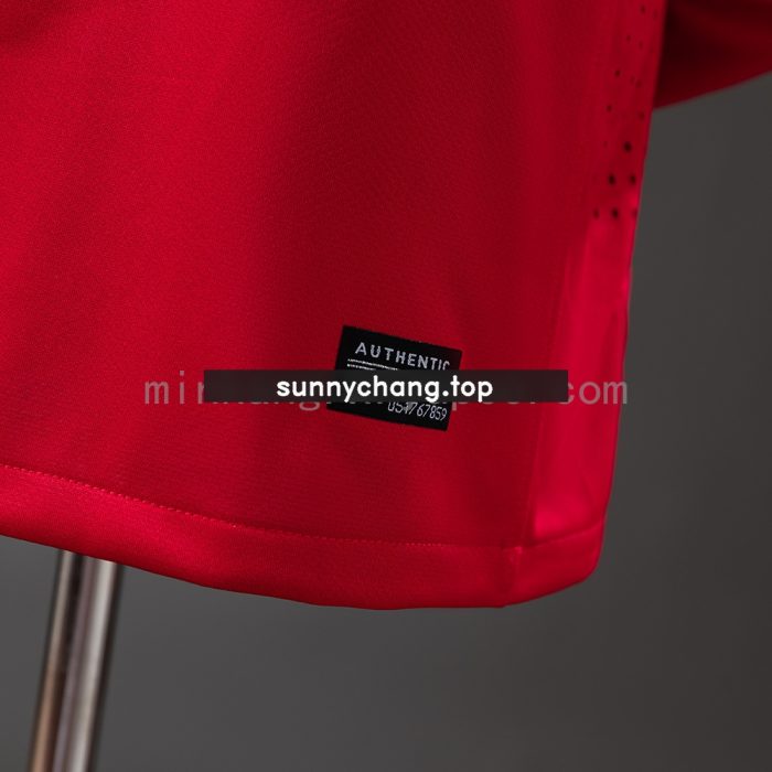 Portugal 2010 Player Version Retro Long Sleeve Home Jersey - 图片 3